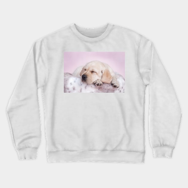 Sleeping labrador Crewneck Sweatshirt by PetsArt
